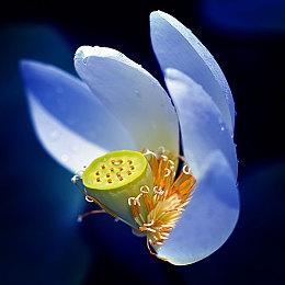 大锤工作室正式确认制作《现代战争3》 预计秋季发售